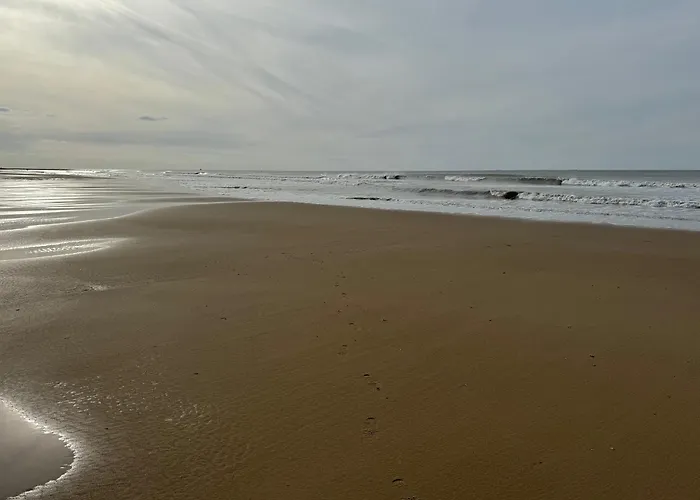 Beachhouse 25 펜션